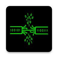 Master of IT